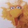 bigbird's Avatar