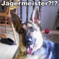 jagerhund's Avatar