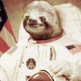 AstroSloth's Avatar