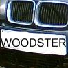 Woodster's Avatar